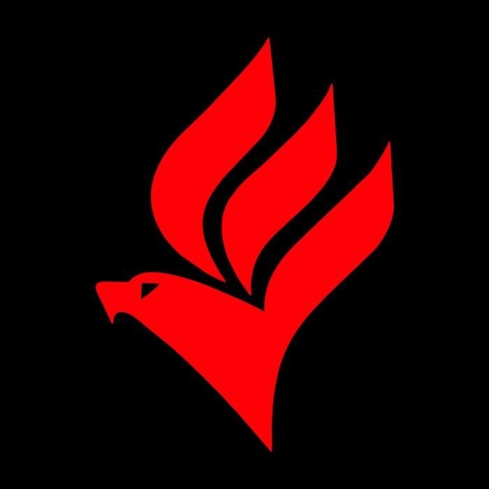 Logo da Academia Gaviões 24 Horas